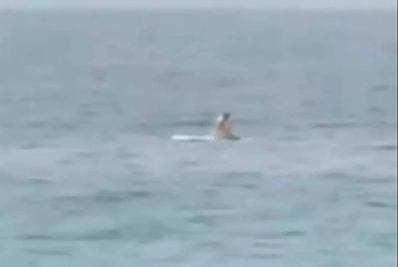海上 麻豆传媒 ？ via 奇趣百科海上 麻豆传媒 ？ via 奇趣百科