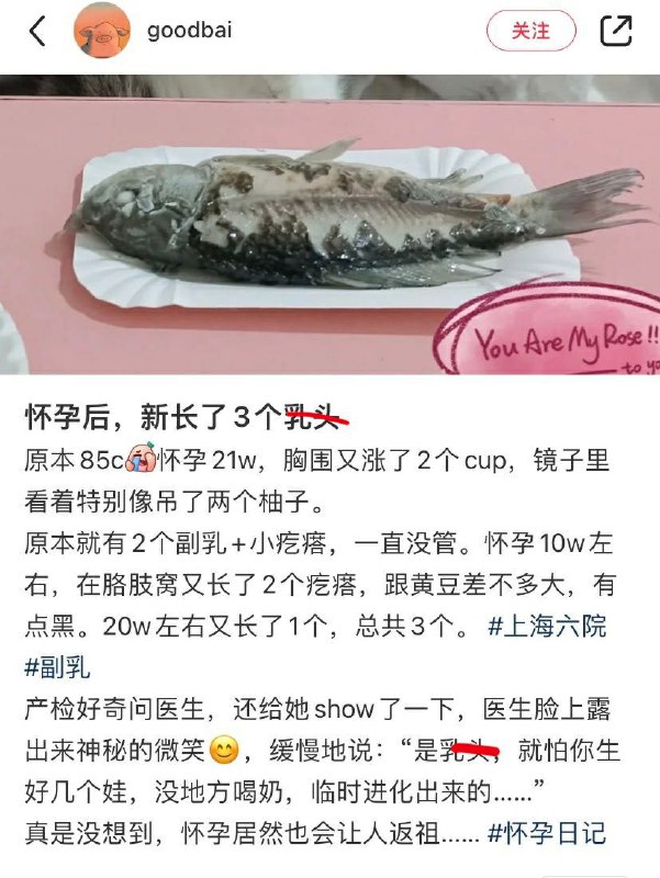 科普科普