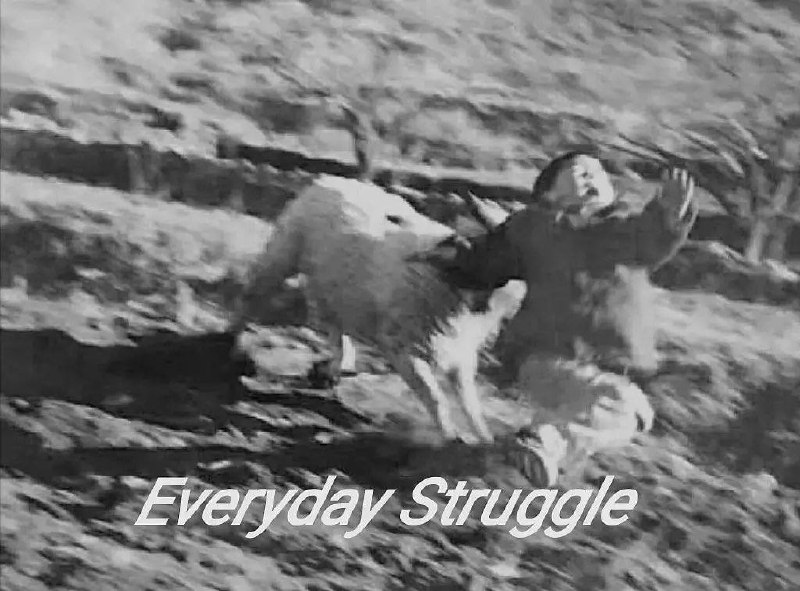 struggle情头一对struggle情头一对