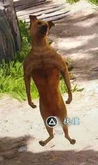 刺客信条黑旗重制版出现BUG……刺客信条黑旗重制版出现BUG……
