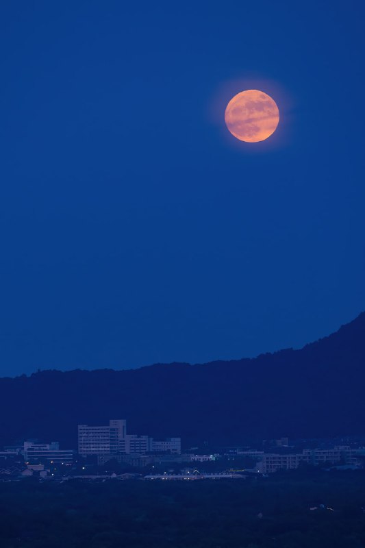 #超级月亮7月13日晚（今晚）至14日凌晨，将迎来今年最大满月，这是北半球2008年以来地平高度最低的满月