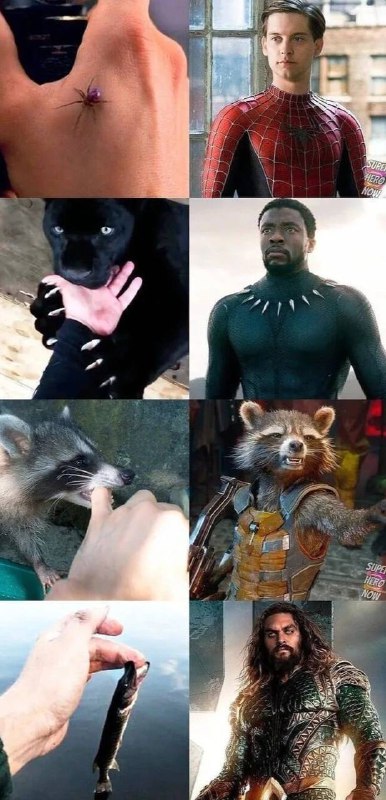 🤔️🤔️