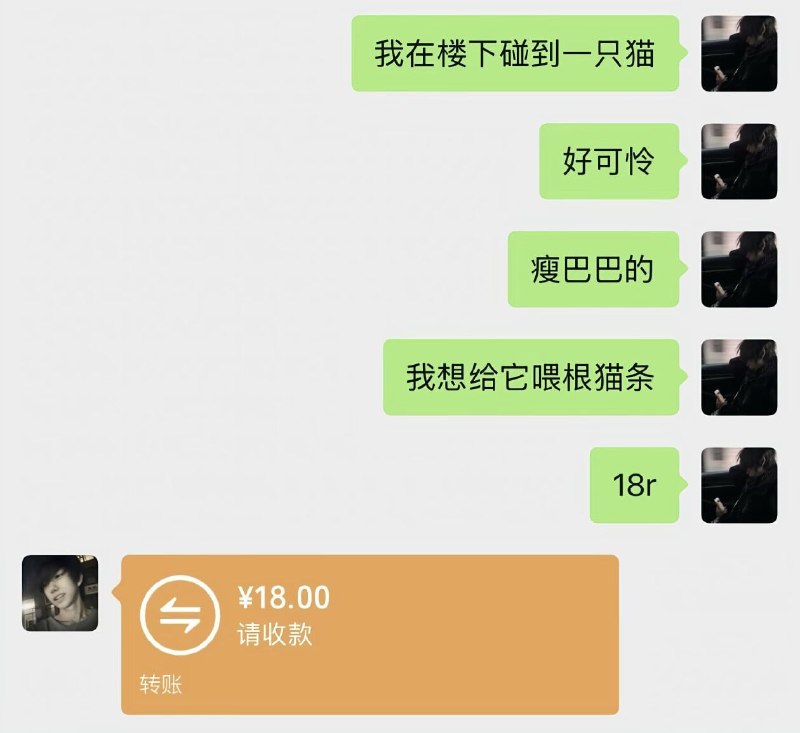 喂的还是尼古喵喵🌚喂的还是尼古喵喵🌚