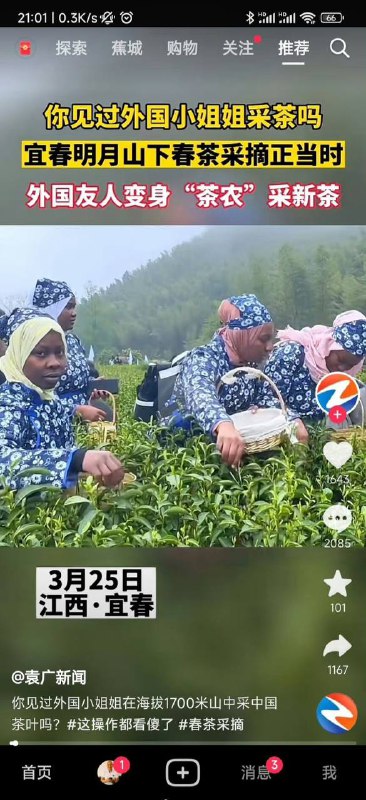 有一种种植园的美