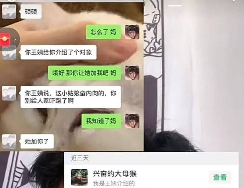 《内向》