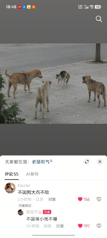艹