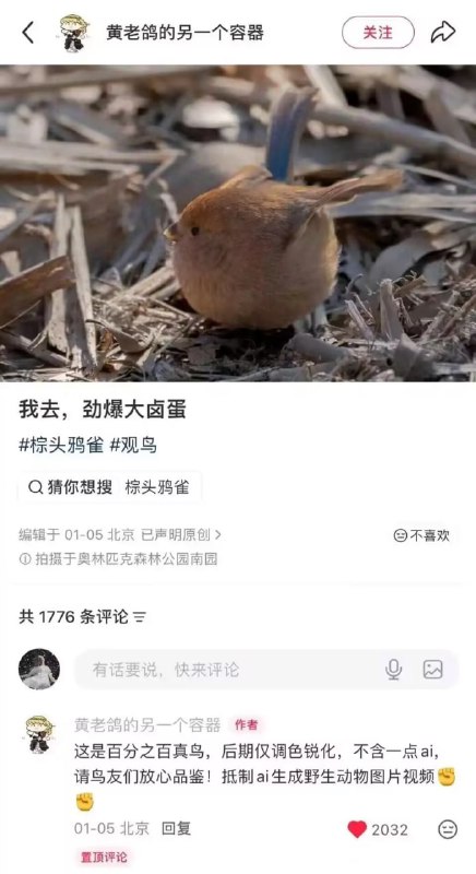 好圆的鸟😮