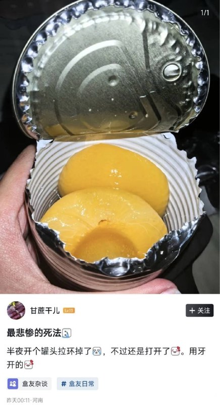 这是真鬣狗