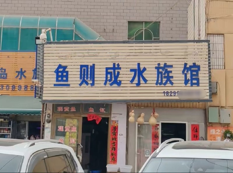 颇具浪漫主义气质啊