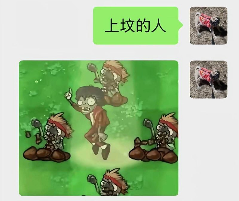 艹艹