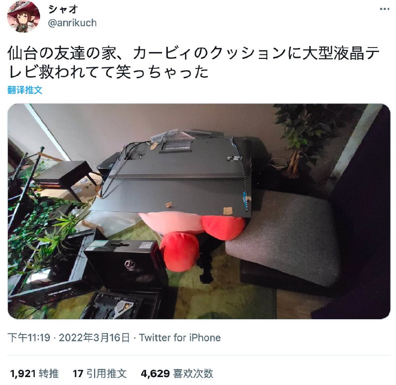 地震中舍身救显示器的星之卡比地震中舍身救显示器的星之卡比