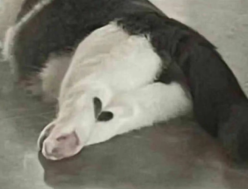 给你一颗爱心给你一颗爱心