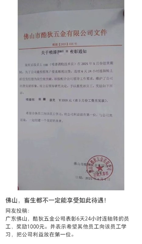好家伙……