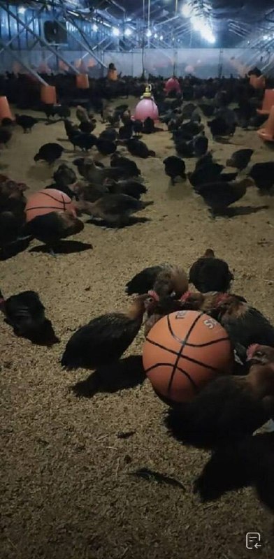 ？