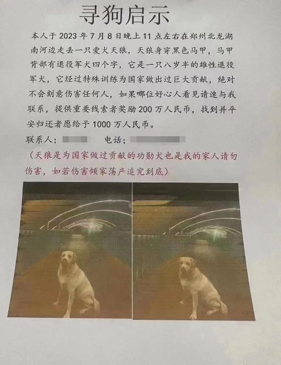 郑州狗主悬赏1000万人民币寻狗郑州流浪动物领养中心 发布寻狗启事