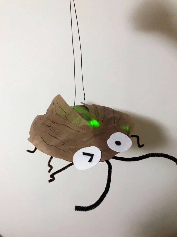 广东特供，中秋节蟑螂灯笼广东特供，中秋节蟑螂灯笼