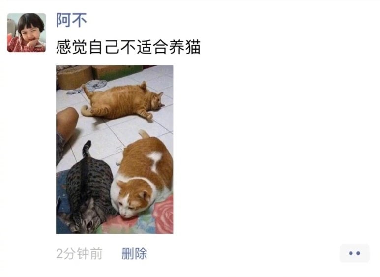好家伙，我们村养猪大户都想学习这个养猪技术好家伙，我们村养猪大户都想学习这个养猪技术