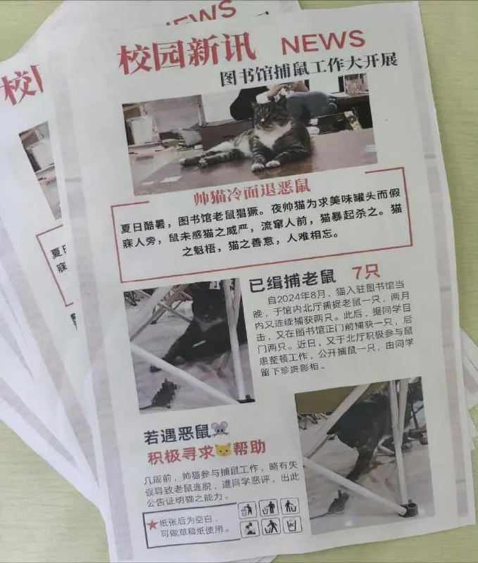 #猫猫