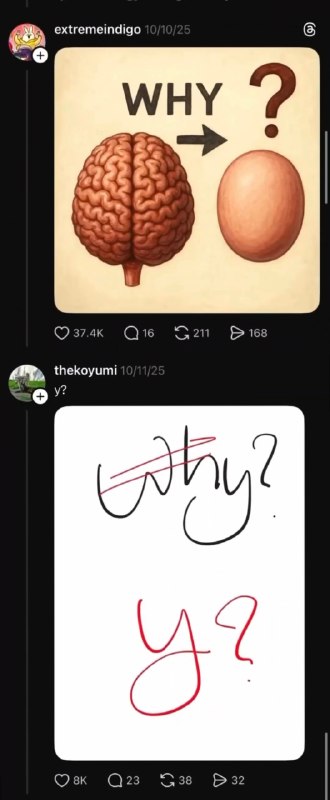why？why？