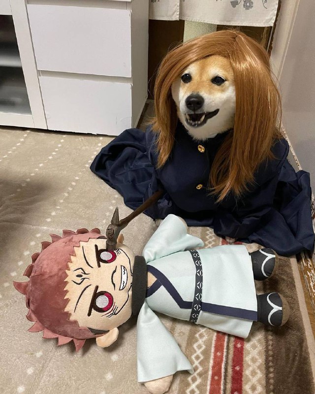 #狗狗 #Cosplay#狗狗 #Cosplay