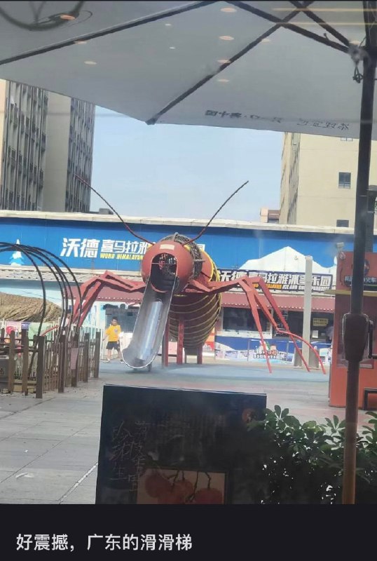 wtf？
