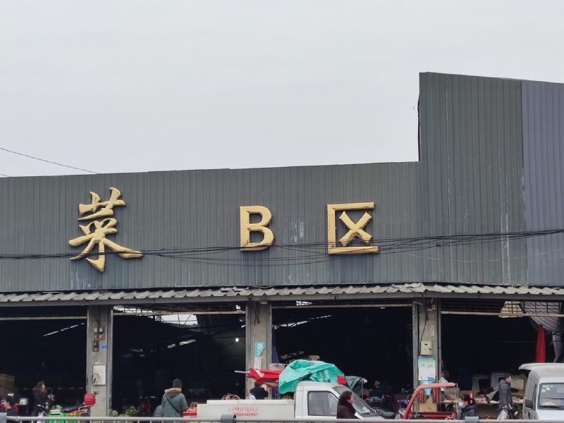 到家了