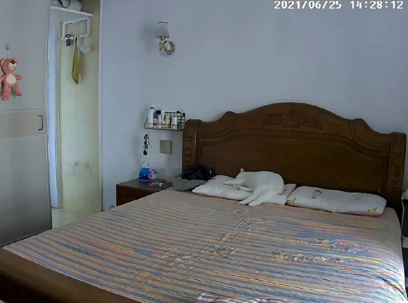 哈哈哈哈哈哈已经很努力克制自己了哈哈哈哈哈哈已经很努力克制自己了