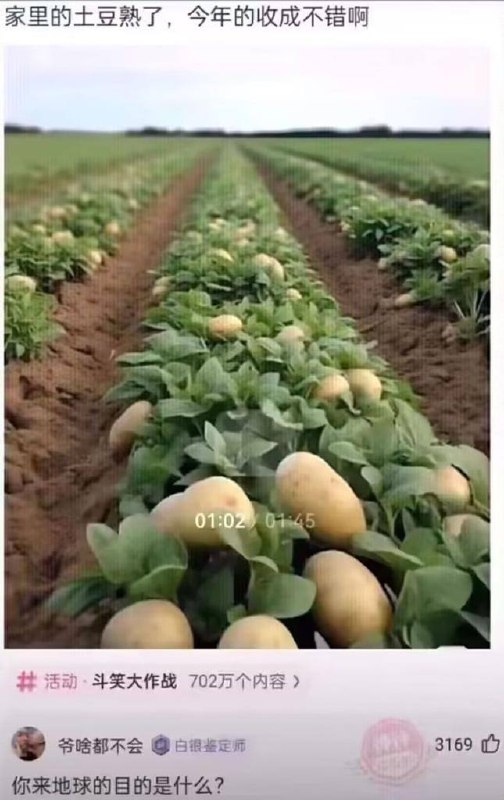 ？