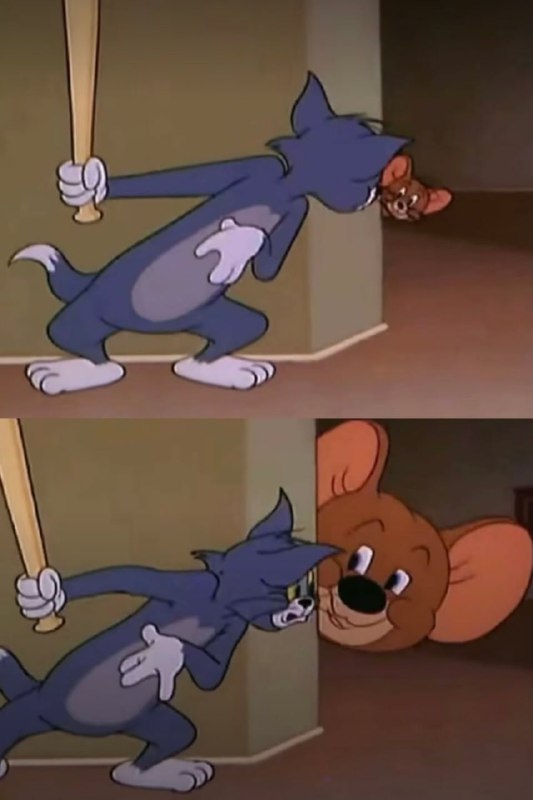 #猫猫 #狗狗#猫猫 #狗狗