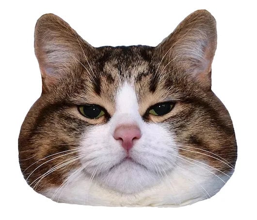 “给这个猫猫头画个身体”#猫猫“给这个猫猫头画个身体”#猫猫