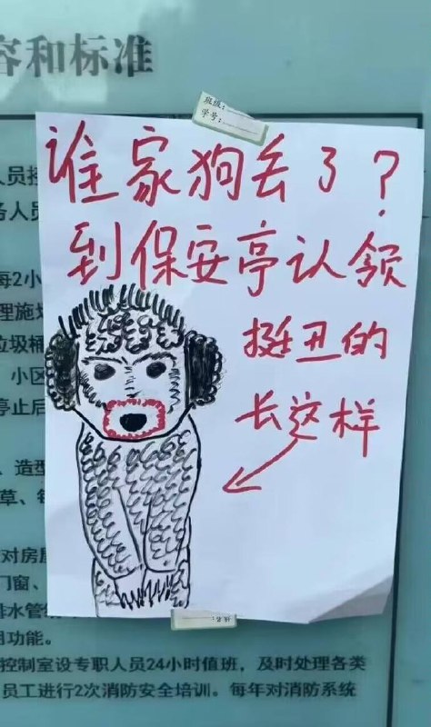 确实丑……