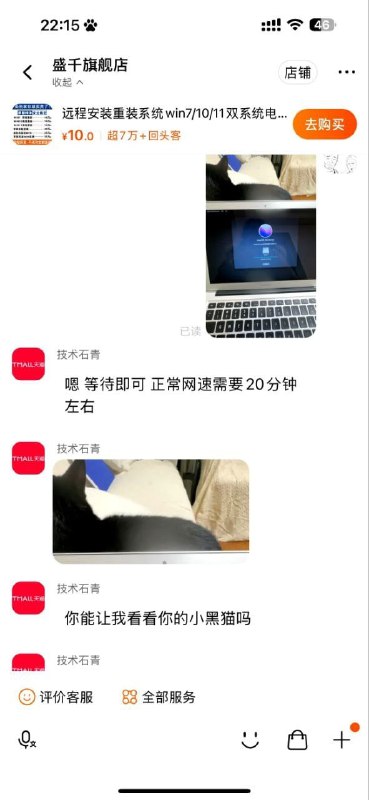 在？看看你的猫在？看看你的猫