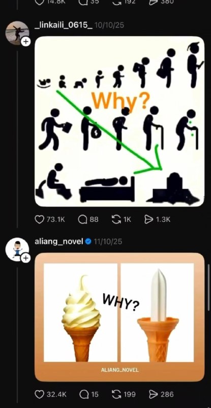 why？why？