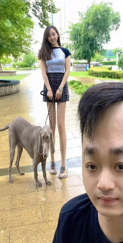 没拉