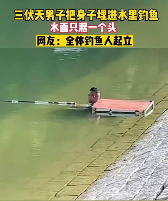 钓鱼佬