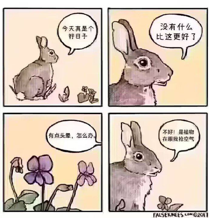 玩原神玩的