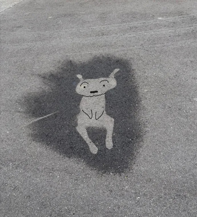 #狗狗#狗狗