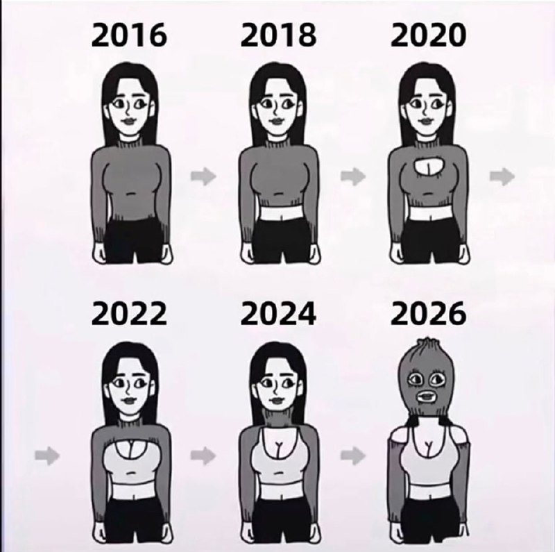 毛衣的进化过程