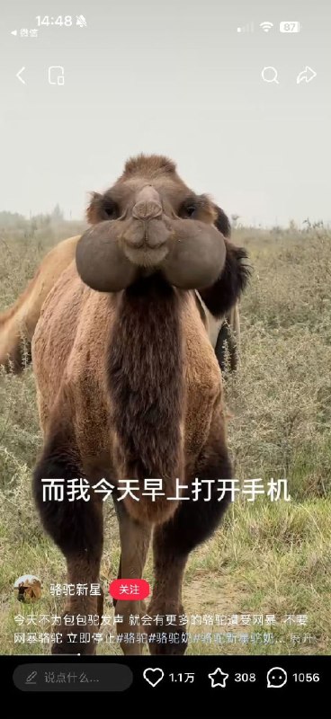 ？？
