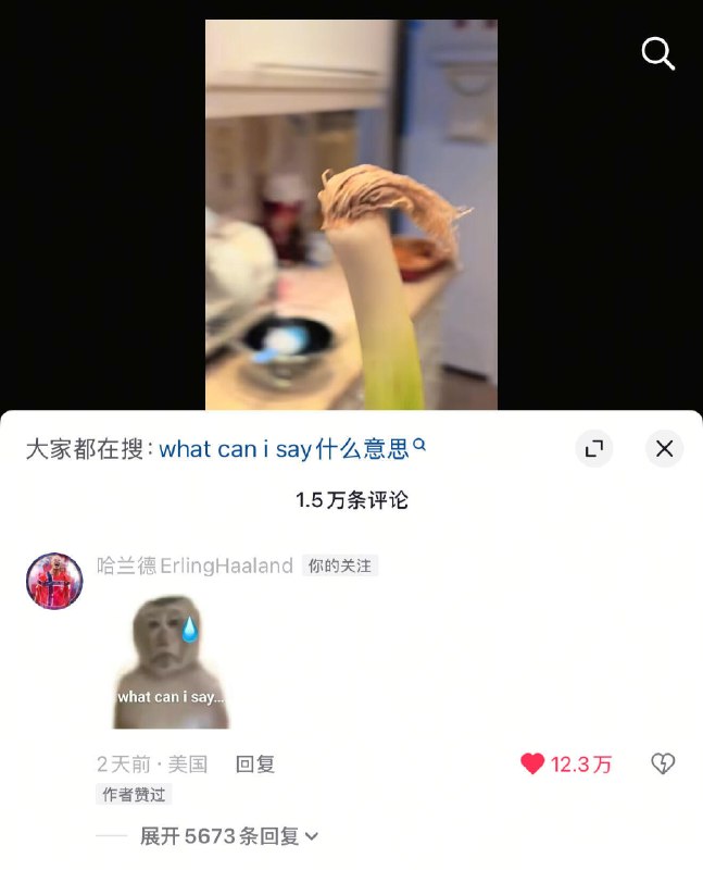 哈兰德本人回复哈兰德梗😆哈兰德本人回复哈兰德梗😆