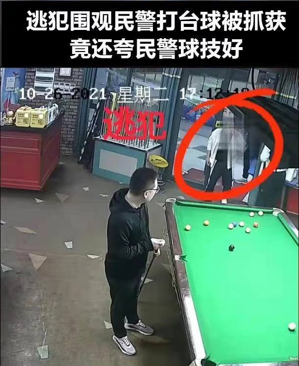 沙雕新闻合集沙雕新闻合集