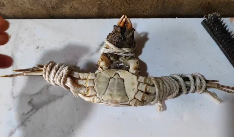 蟹