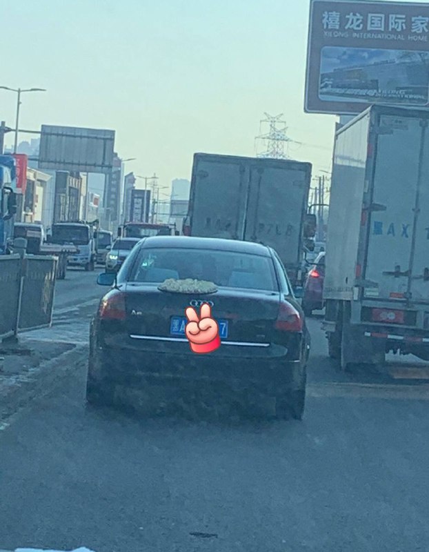 谁出门这么着急给饺子都带出来了🤔️
