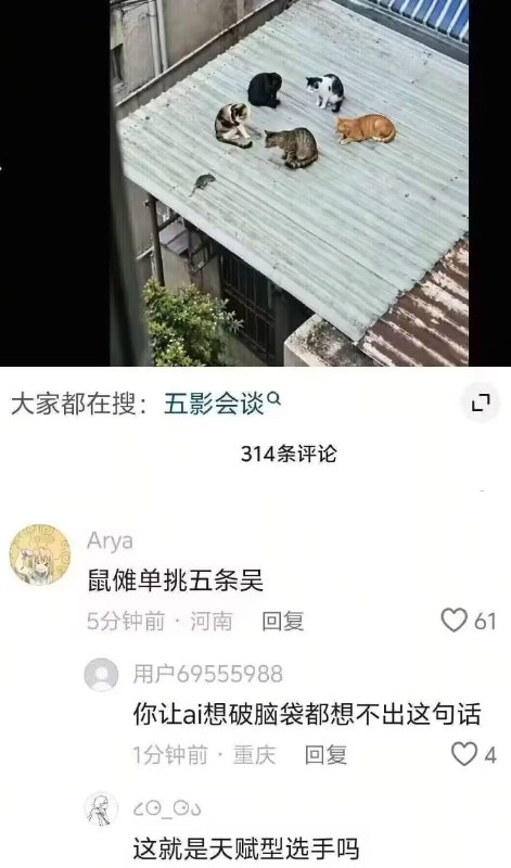 艹
