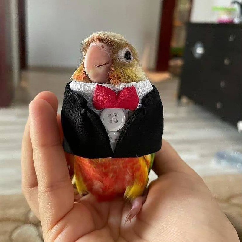 🦜