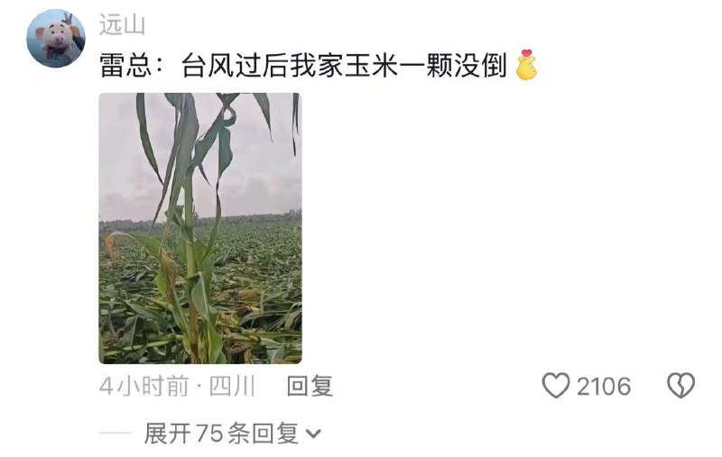 雷式营销雷式营销