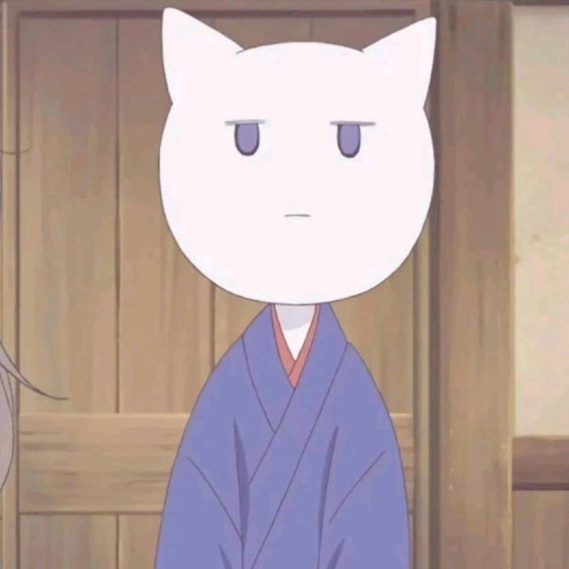 #猫猫#猫猫