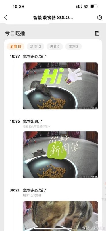 《宠物来吃饭了》