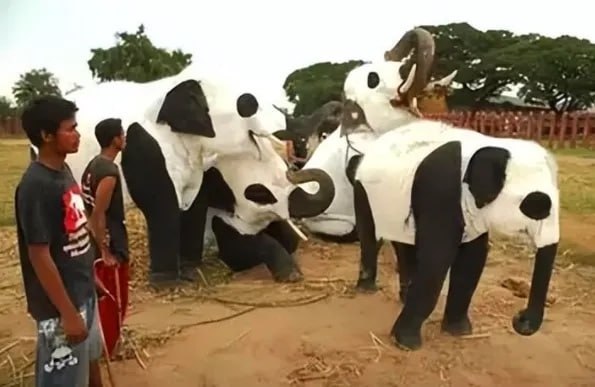 有点喜感🤔Cr