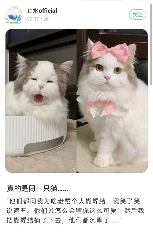 😅